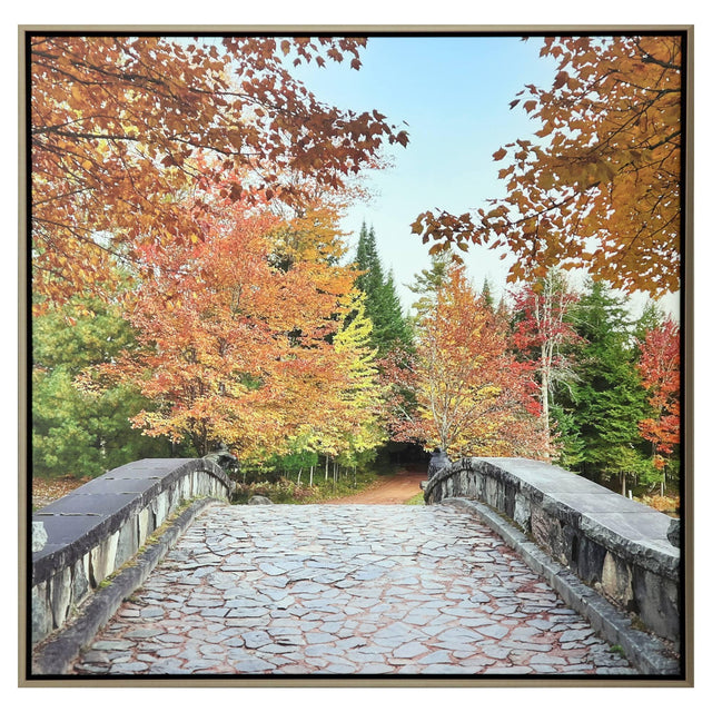 Paragon Afternoon Stroll Orange 51 X 51 X 3 Wall Art
