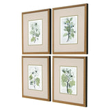 Paragon Dream Blossom S/4 Green 17 X 15 X 2 Wall Art