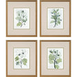 Paragon Dream Blossom S/4 Green 17 X 15 X 2 Wall Art