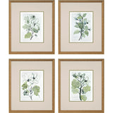 Paragon Dream Blossom S/4 Green 17 X 15 X 2 Wall Art