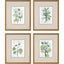 Paragon Dream Blossom S/4 Green 17 X 15 X 2 Wall Art