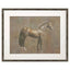 Paragon Majestic Horse I Brown 34 X 42 X 2 Wall Art
