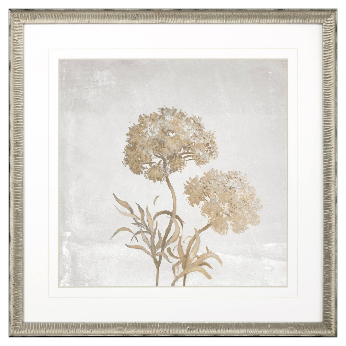 Paragon Delicate Beauty I Gray 35 X 35 X 2 Wall Art