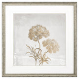 Paragon Delicate Beauty I Gray 35 X 35 X 2 Wall Art
