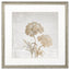 Paragon Delicate Beauty I Gray 35 X 35 X 2 Wall Art