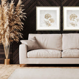 Paragon Delicate Beauty I Gray 35 X 35 X 2 Wall Art