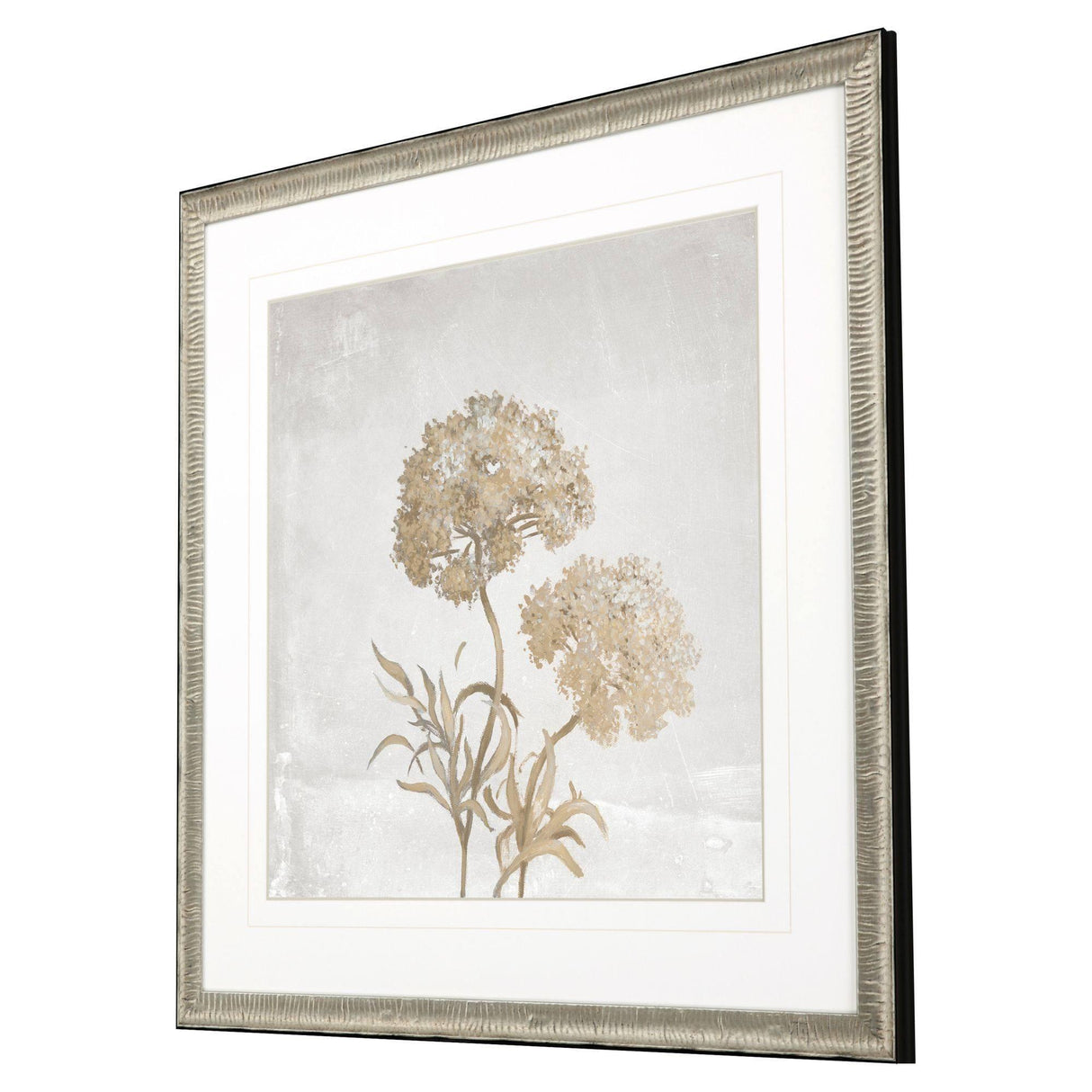 Paragon Delicate Beauty I Gray 35 X 35 X 2 Wall Art