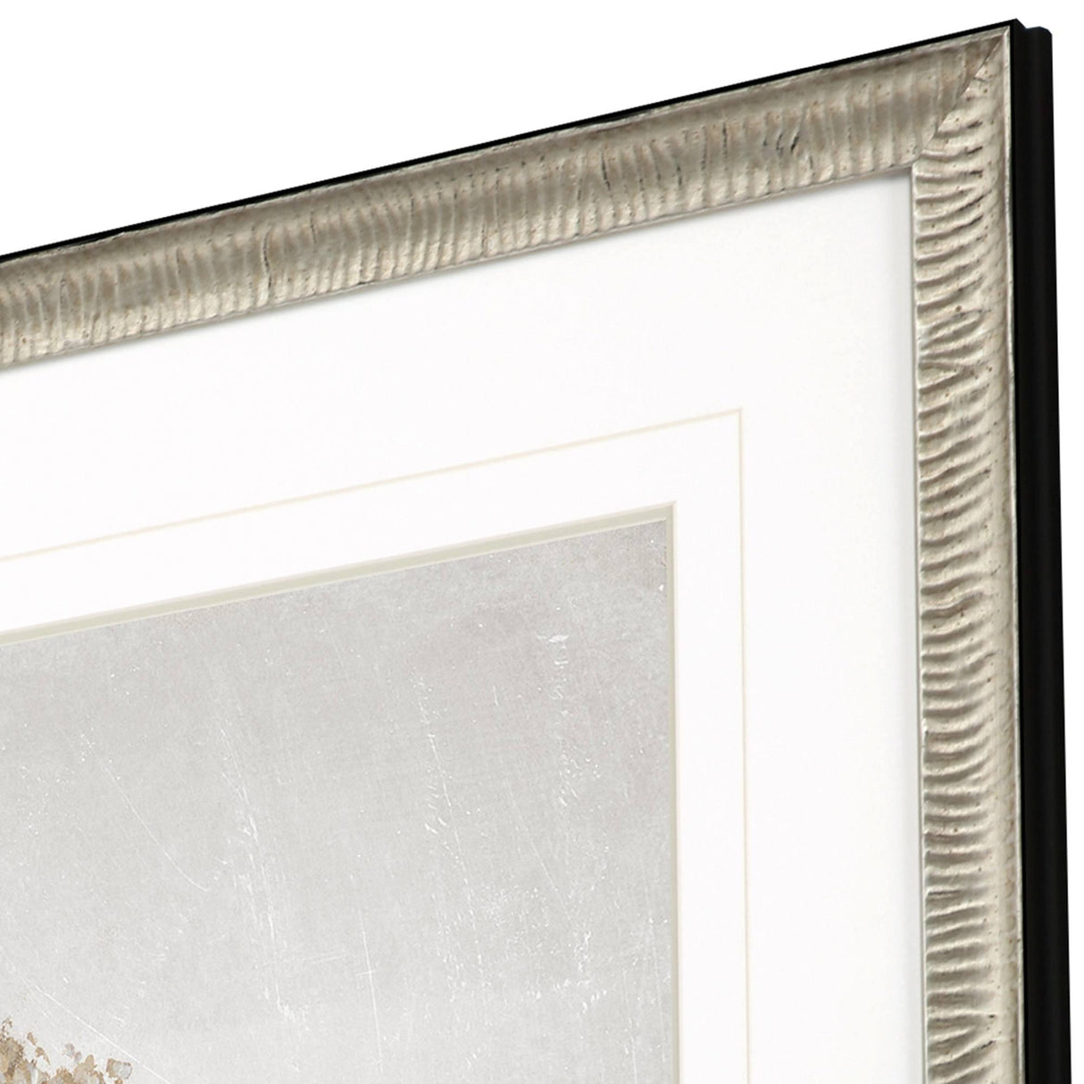 Paragon Delicate Beauty I Gray 35 X 35 X 2 Wall Art