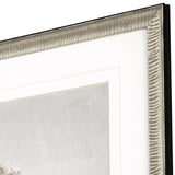 Paragon Delicate Beauty I Gray 35 X 35 X 2 Wall Art