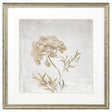 Paragon Delicate Beauty II Gray 35 X 35 X 2 Wall Art