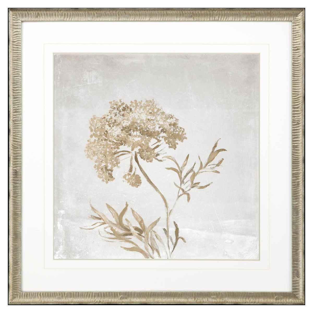 Paragon Delicate Beauty II Gray 35 X 35 X 2 Wall Art