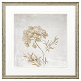 Paragon Delicate Beauty II Gray 35 X 35 X 2 Wall Art