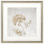 Paragon Delicate Beauty II Gray 35 X 35 X 2 Wall Art