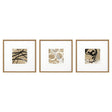 Paragon Grammercy I S/3 Brown 21 X 21 X 2 Wall Art