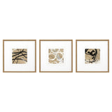 Paragon Grammercy I S/3 Brown 21 X 21 X 2 Wall Art