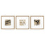 Paragon Grammercy I S/3 Brown 21 X 21 X 2 Wall Art