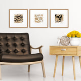 Paragon Grammercy I S/3 Brown 21 X 21 X 2 Wall Art