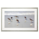 Paragon Sandpiper Reflections White 33 X 52 X 2 Wall Art
