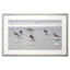 Paragon Sandpiper Reflections White 33 X 52 X 2 Wall Art