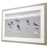 Paragon Sandpiper Reflections White 33 X 52 X 2 Wall Art