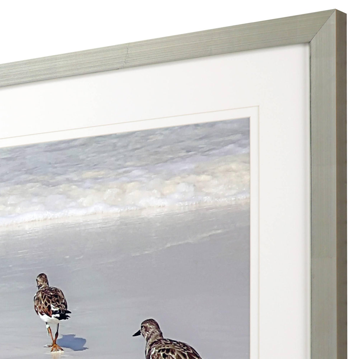 Paragon Sandpiper Reflections White 33 X 52 X 2 Wall Art