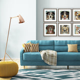 Paragon Dog Collage I S/4 Brown 21 X 21 X 2 Wall Art