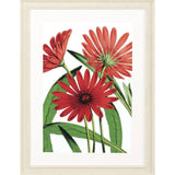 Paragon Osteospermum Red 41 X 31 X 2 Wall Art
