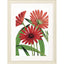 Paragon Osteospermum Red 41 X 31 X 2 Wall Art