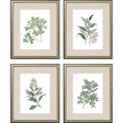 Paragon White Flowers S/4 Green 24 X 20 X 1 Wall Art