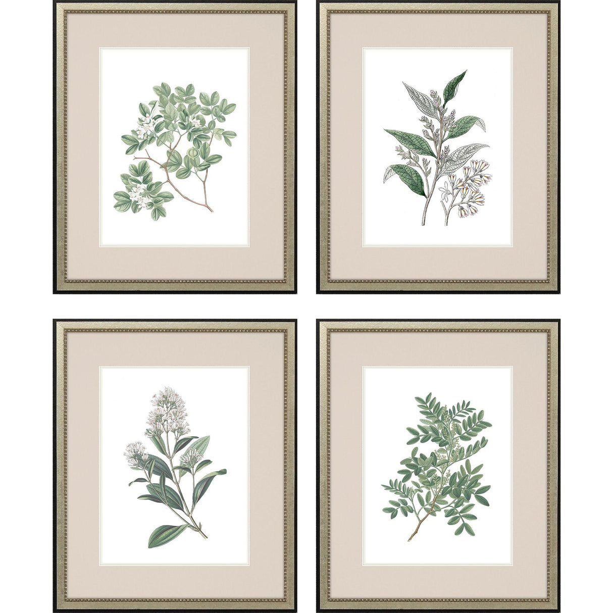 Paragon White Flowers S/4 Green 24 X 20 X 1 Wall Art