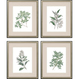 Paragon White Flowers S/4 Green 24 X 20 X 1 Wall Art