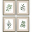 Paragon White Flowers S/4 Green 24 X 20 X 1 Wall Art