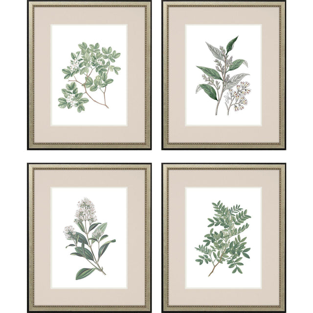 Paragon White Flowers S/4 Green 24 X 20 X 1 Wall Art