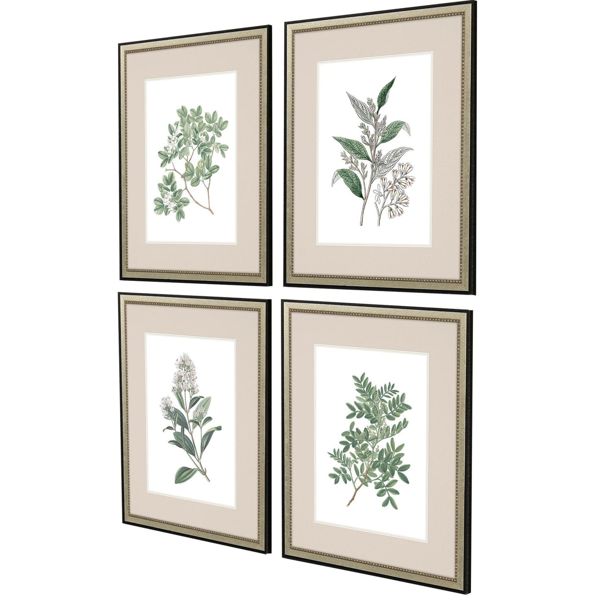 Paragon White Flowers S/4 Green 24 X 20 X 1 Wall Art
