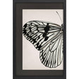 Paragon Grand Butterfly I Black 47 X 31 X 2 Wall Art