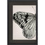 Paragon Grand Butterfly I Black 47 X 31 X 2 Wall Art
