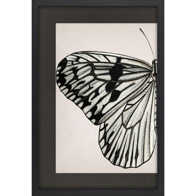 Paragon Grand Butterfly I Black 47 X 31 X 2 Wall Art