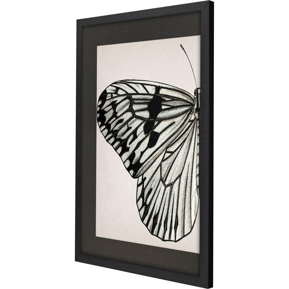 Paragon Grand Butterfly I Black 47 X 31 X 2 Wall Art