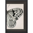Paragon Grand Butterfly II Black 47 X 31 X 2 Wall Art