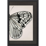 Paragon Grand Butterfly II Black 47 X 31 X 2 Wall Art