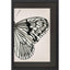 Paragon Grand Butterfly II Black 47 X 31 X 2 Wall Art