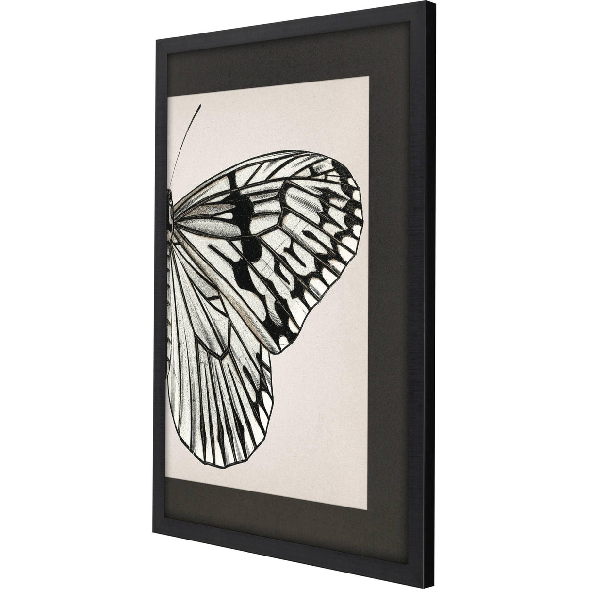 Paragon Grand Butterfly II Black 47 X 31 X 2 Wall Art