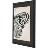 Paragon Grand Butterfly II Black 47 X 31 X 2 Wall Art