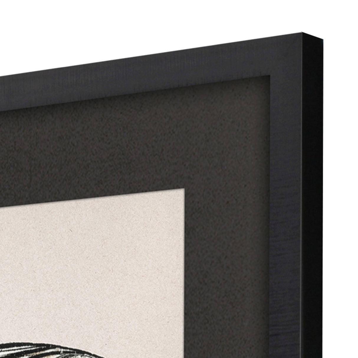 Paragon Grand Butterfly II Black 47 X 31 X 2 Wall Art