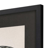 Paragon Grand Butterfly II Black 47 X 31 X 2 Wall Art