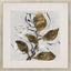 Paragon Golden Floral II White 35 X 35 X 2 Wall Art