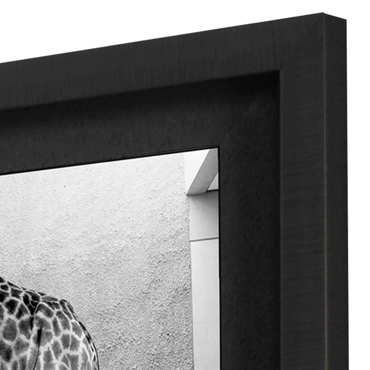 Paragon Safari Bath I S/2 White 25 X 25 X 2 Wall Art