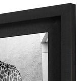 Paragon Safari Bath I S/2 White 25 X 25 X 2 Wall Art