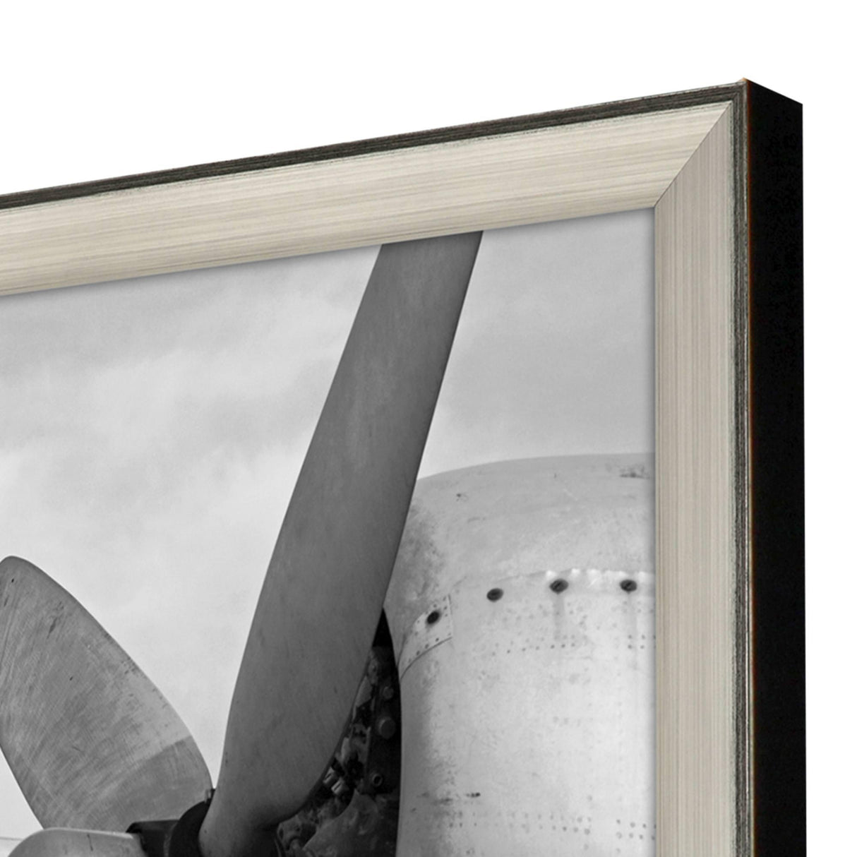 Paragon Vintage Flight I White 40 X 40 X 3 Wall Art