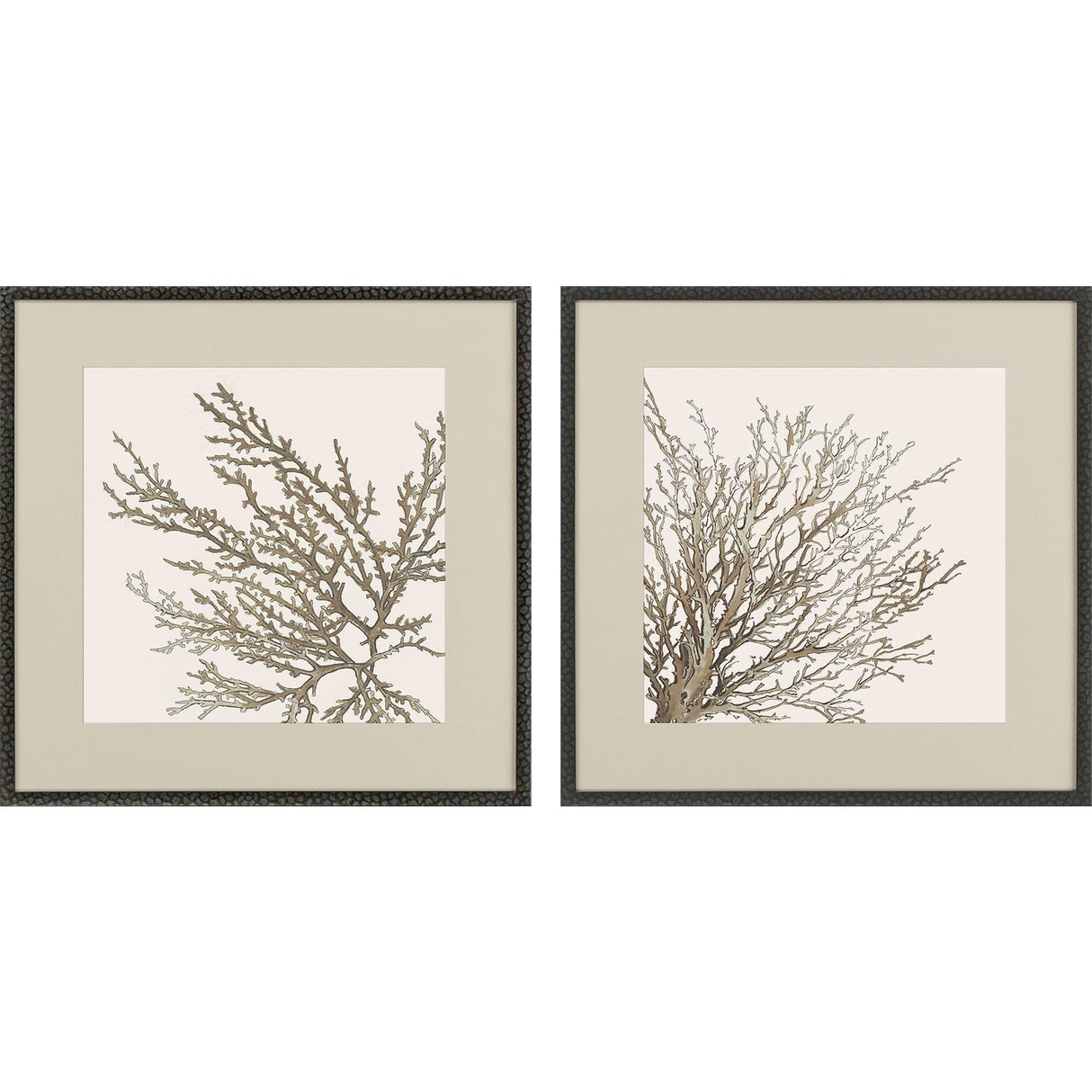Paragon Taupe Coral S/2 Brown 26 X 26 X 1 Wall Art